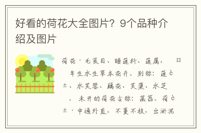 好看的荷花大全图片？9个品种介绍及图片