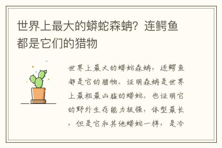 世界上最大的蟒蛇森蚺？连鳄鱼都是它们的猎物