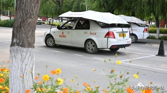 s弯方向盘打法口诀？学车必须要学会打方向盘吗