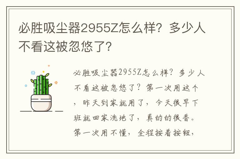 必胜吸尘器2955Z怎么样？多少人不看这被忽悠了？