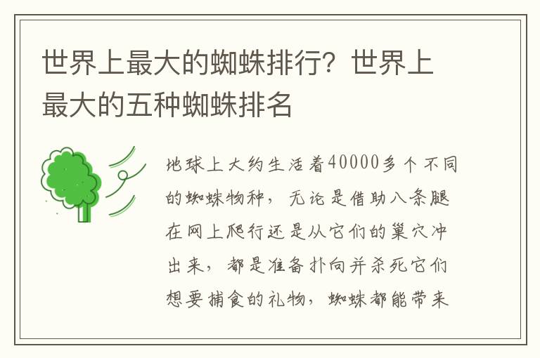 世界上最大的蜘蛛排行？世界上最大的五种蜘蛛排名