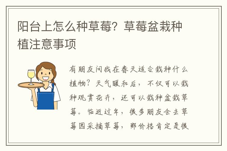 阳台上怎么种草莓？草莓盆栽种植注意