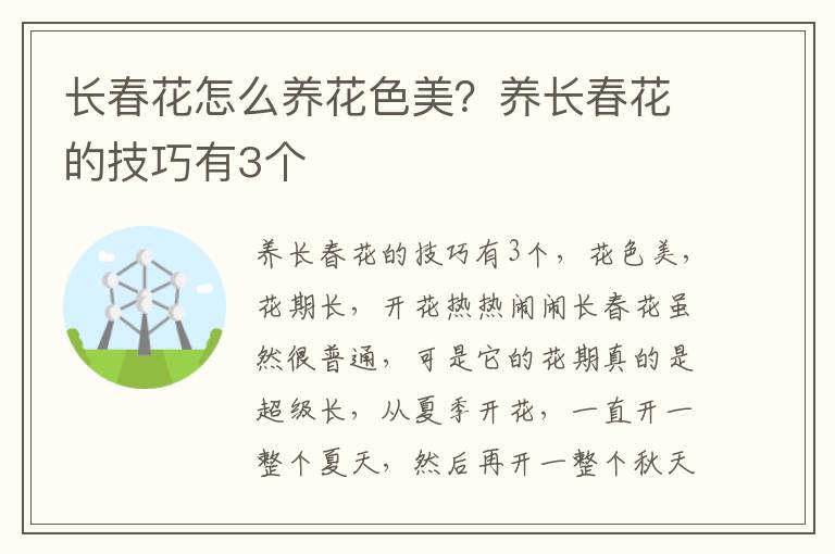 长春花怎么养花色美？养长春花的技巧有3个