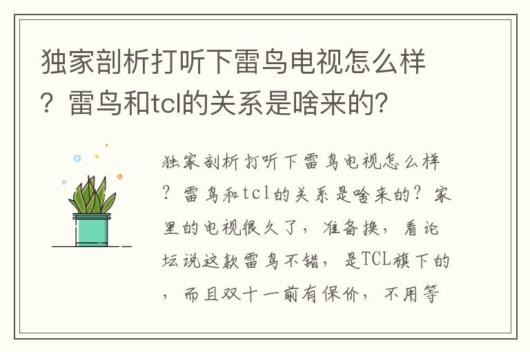 独家剖析打听下雷鸟电视怎么样？雷鸟