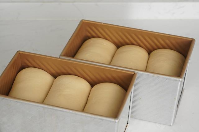 家用小烤箱怎么用？性价比超高的入门家用烤箱