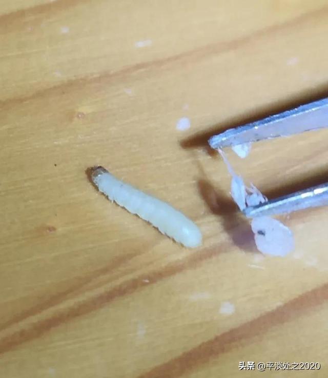燃气灶火小怎么办图解？燃气灶火焰变小解决方法