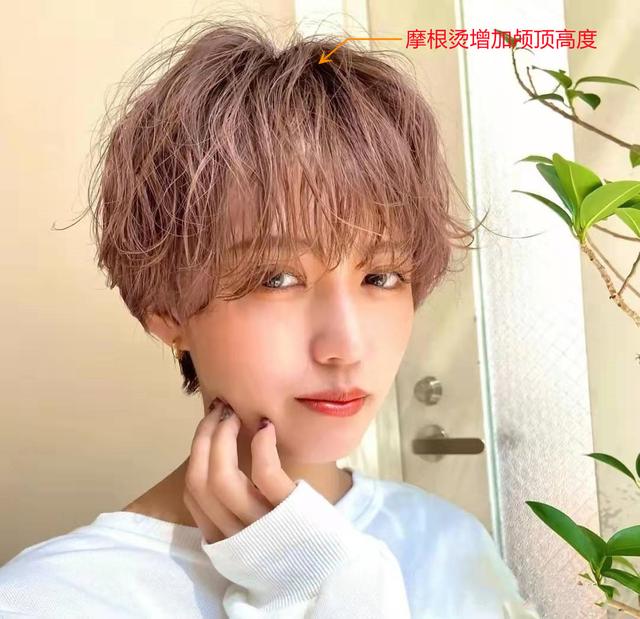 短发烫发最新发型女图片？最流行的纹理烫短发