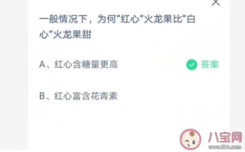 原因是含糖量高还是富含花青素？为何红心火龙果比白心火龙果甜