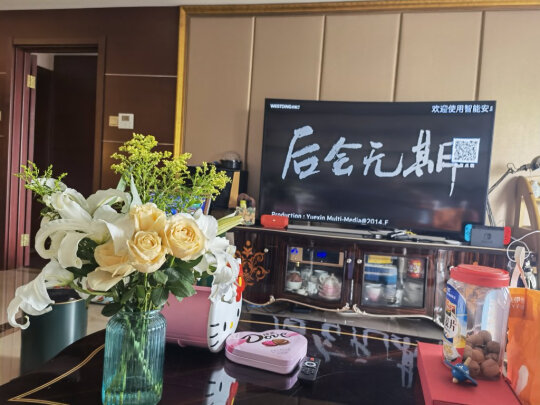 报价参数威斯汀Q1S点歌机好不好用？刚上手就后悔属实吗
