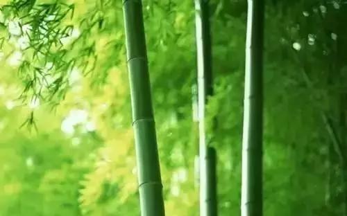 经典小故事大道理？十个经典小故事