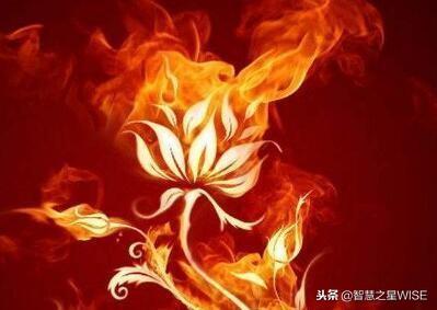斗破苍穹人物排行榜？斗破苍穹中最强的五个人物