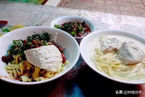 遵义特产有哪些特产？遵义十大特色美食