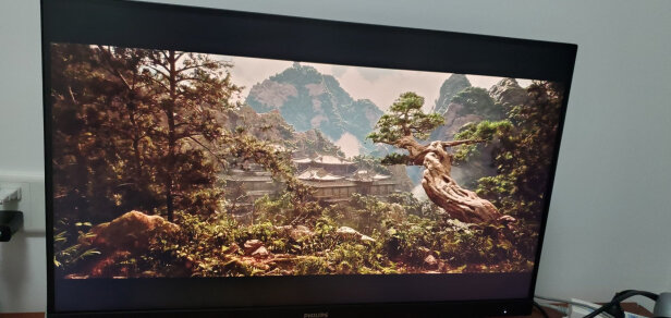 飞利浦275M1RZN质量怎么样？值得入手呀？