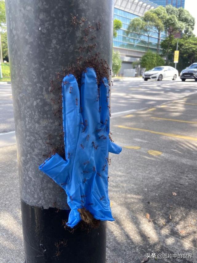 最恐怖的图片大全？31张毛骨悚然的照片来袭