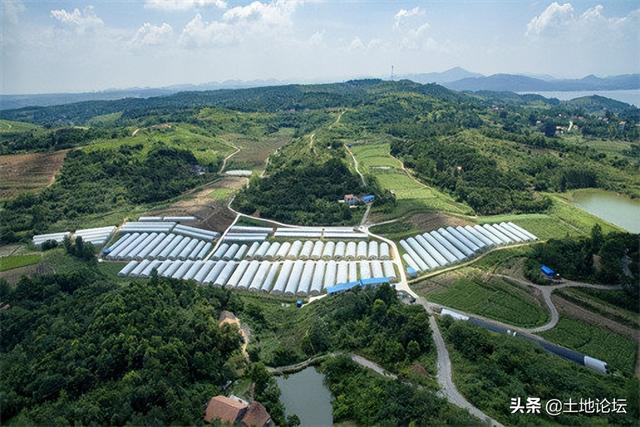 适合农村创业项目有哪些？推荐5个新兴项目适合