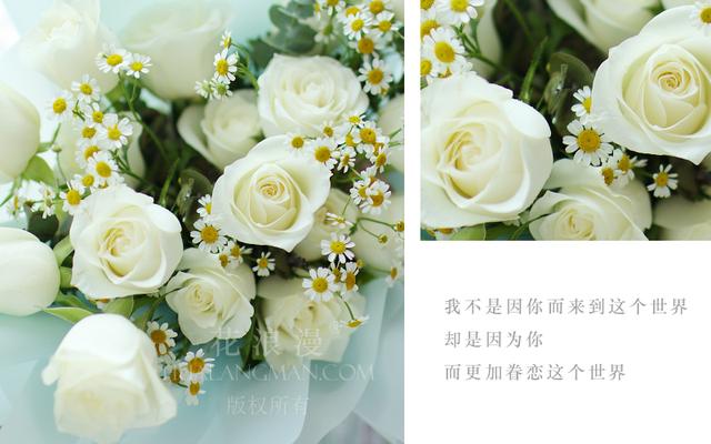 白玫瑰的含义是什么？白玫瑰什么场合送