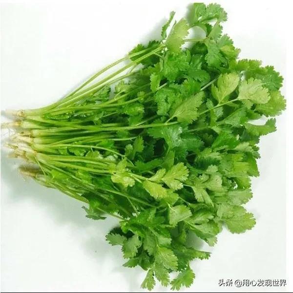 盘点最具争议的食物？最恶心的食物排名
