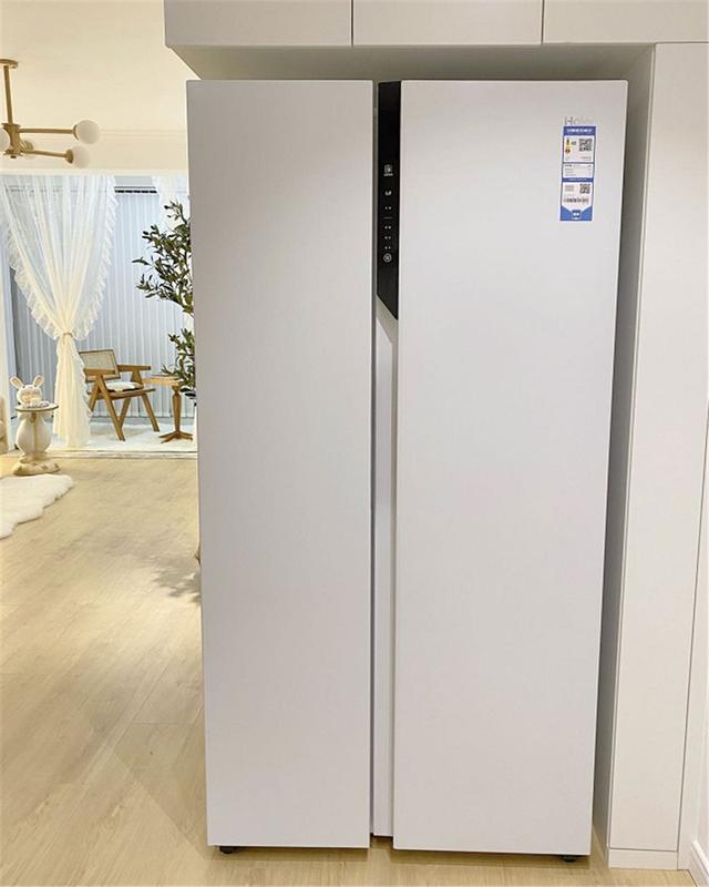教你如何选冰箱？选冰箱牢记5点最实用