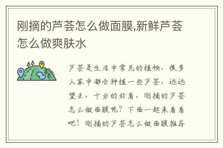 刚摘的芦荟怎么做面膜,新鲜芦荟怎么做爽肤水
