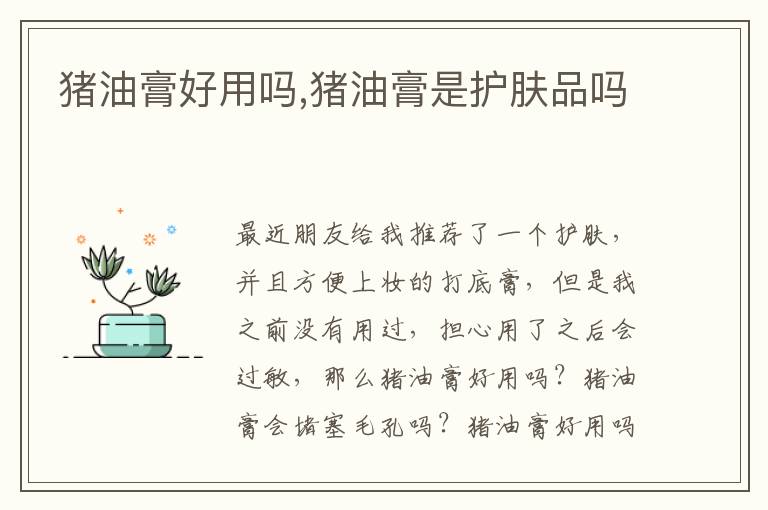 猪油膏好用吗,猪油膏是护肤品吗