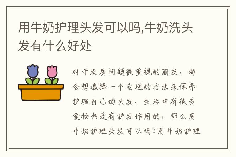 用牛奶护理头发可以吗,牛奶洗头发