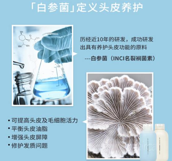 JOJOZEN白参菌洗发水怎么样？JOJOZEN白参菌洗发水好不好