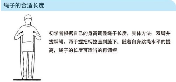 跳绳减肥的正确方法策略,跳绳的长度是多少 跳绳减肥的正确方法策略,跳绳的长度是多少