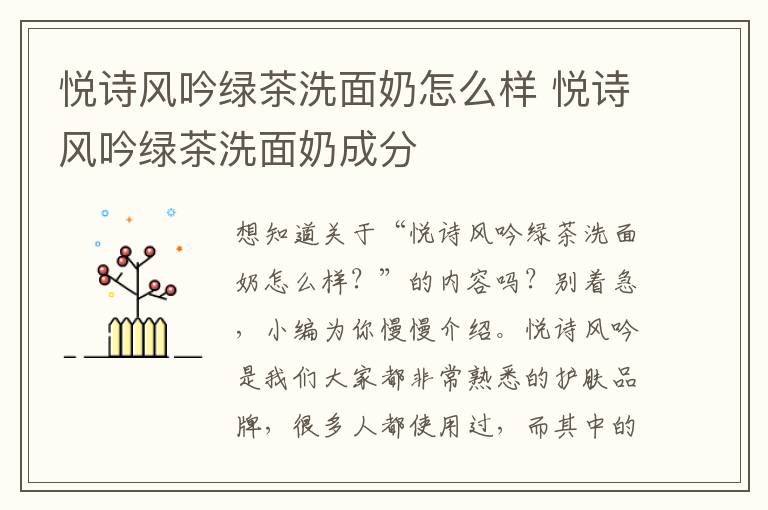 悦诗风吟绿茶洗面奶怎么样 悦诗风吟绿茶洗面奶成分