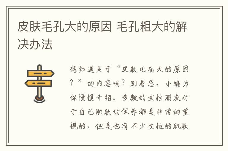 皮肤毛孔大的原因 毛孔粗大的解决办法
