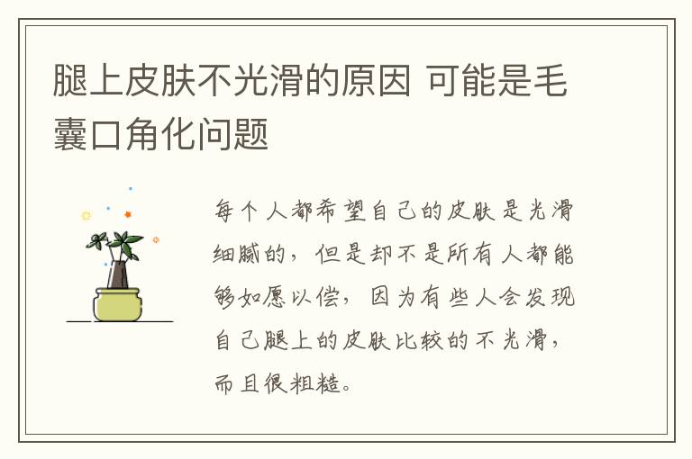 腿上皮肤不光滑的原因 可能是毛囊口角化问题