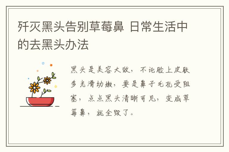 歼灭黑头告别草莓鼻 日常生活中的去黑头办法