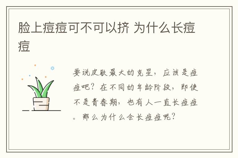 脸上痘痘可不可以挤 为什么长痘痘