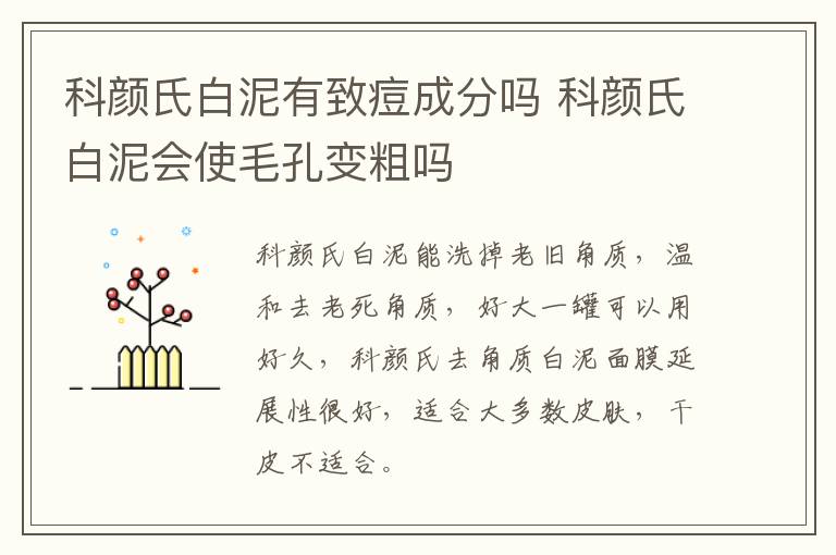 科颜氏白泥有致痘成分吗 科颜氏白泥会使毛孔变粗吗