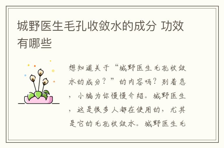 城野医生毛孔收敛水的成分 功效有哪些