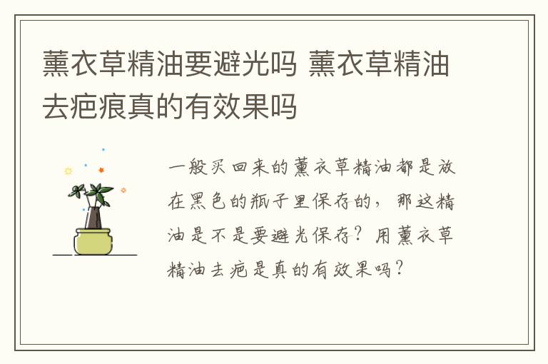 薰衣草精油要避光吗 薰衣草精油去疤痕真的有效果吗