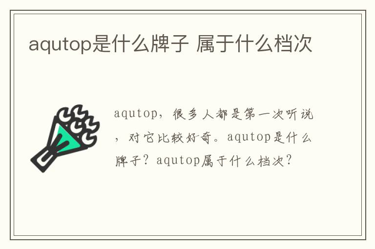 aqutop是什么牌子 属于什么档次