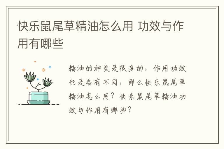 快乐鼠尾草精油怎么用 功效与作用有哪些