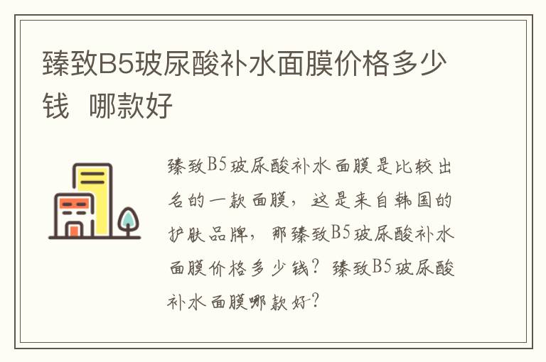 臻致B5玻尿酸补水面膜价格多少钱  哪款好