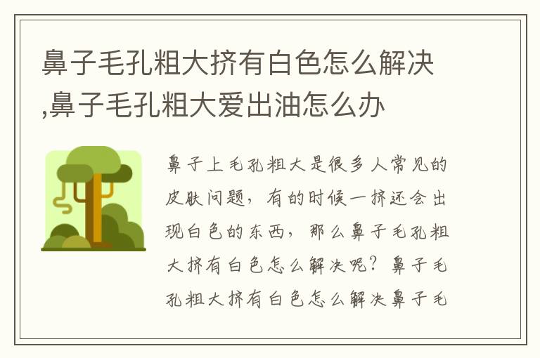 鼻子毛孔粗大挤有白色怎么解决,鼻子毛孔粗大爱出油怎么办